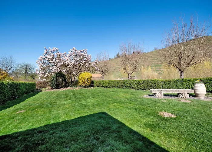 Apartment Hildegard Von Nell