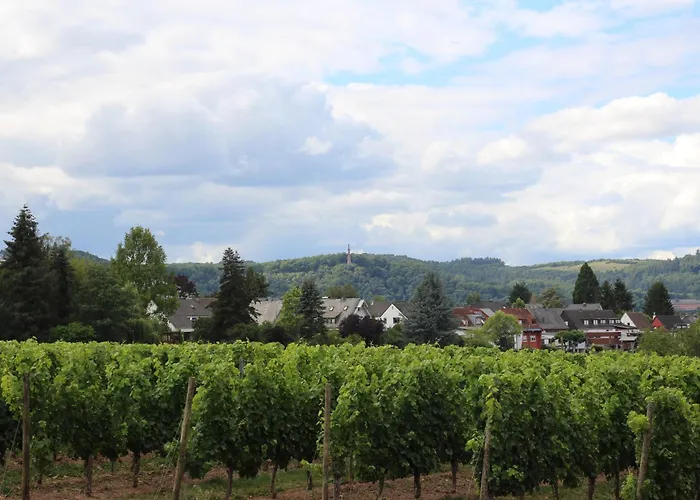 Διαμέρισμα Hildegard Von Nell *